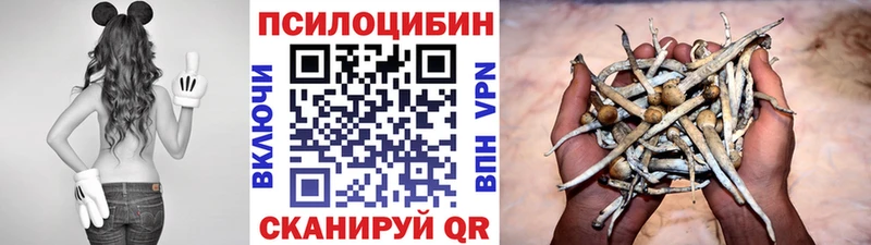 Псилоцибиновые грибы Psilocybine cubensis  Спас-Клепики 